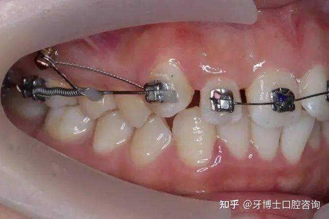 沪上口腔指南